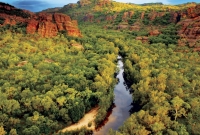 kakadu2