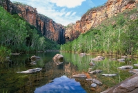 kakadu3