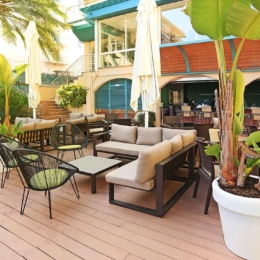 ispanija kaktus playa7