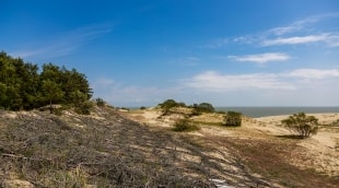 kopos kaliningradas