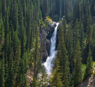 Barskoon waterfall   splashes of Champaign
