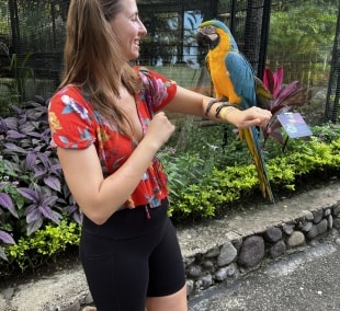 IMG 3938