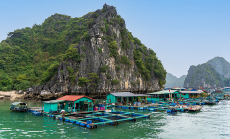 kat ba zveju kaimas 3