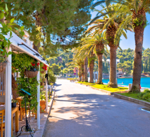 cavtat 5