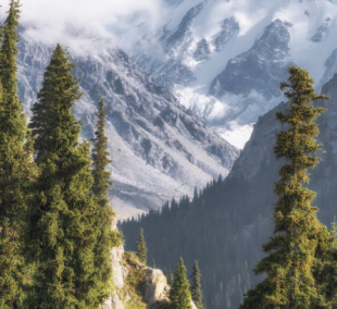 tien shan