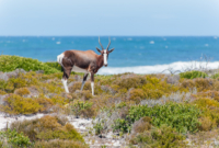 Pasiūlymo galerija 1