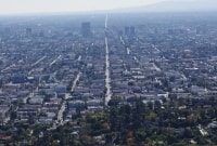 hollywood 7829