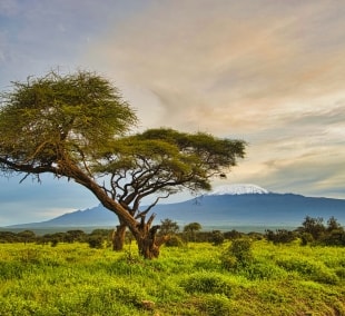 amboseli