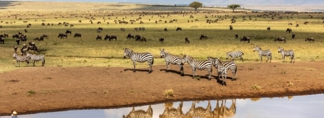 masai mara 2