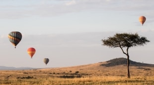 masai mara 4