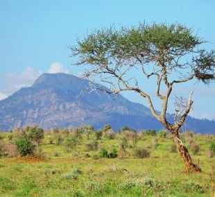 taita hills gamta