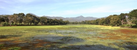 taita hills   tsavo