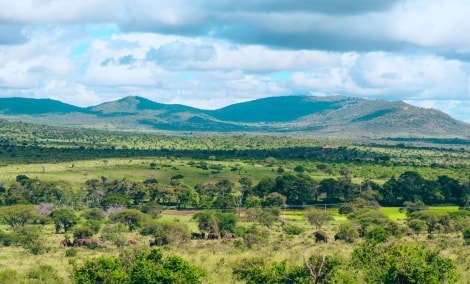 taita hills
