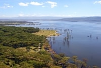 lake nakuru parkas kenija 16960