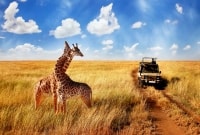 serengeti safaris 16972