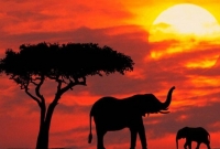 kenya beautiful sunset