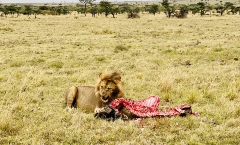 image00009
