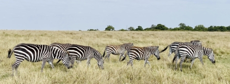 image00012