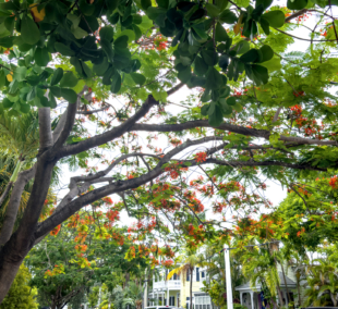 Key West, Florida