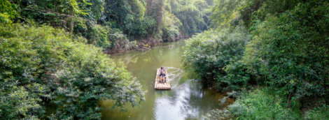 Khao Sok 1
