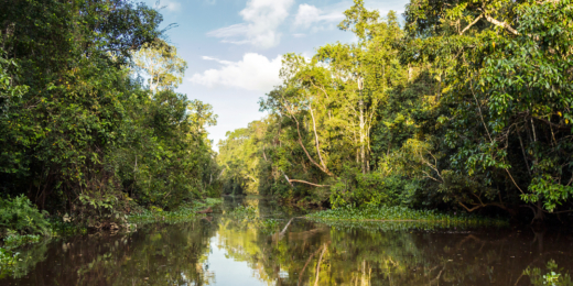 Kinabatangan upe 1