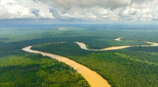 Kinabatangan upe is virsaus