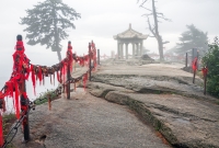 Kinu Gazebo 5423