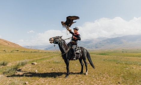 kirgizija erelis