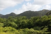 laukai 8494