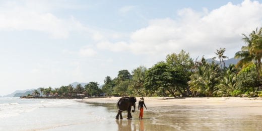 koh chang sala dramblys