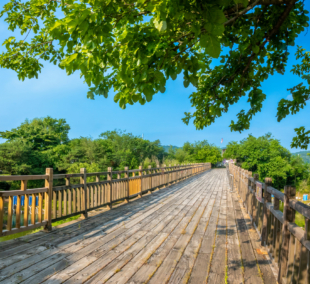  korėjos demilitarizuota zona