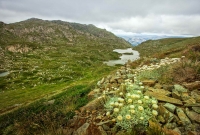 Kosciuszko2
