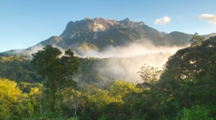 Mount Kinabalu