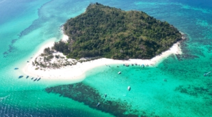 bamboo island