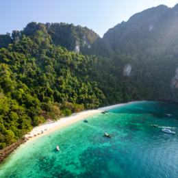 monkey beach in Koh Phi Phi island in Krabi