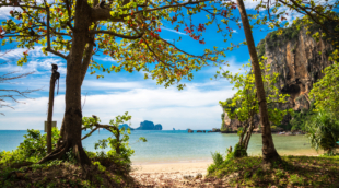 Ton Sai beach