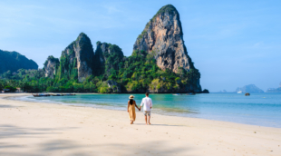 krabi papludimys