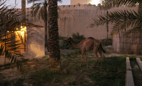 NIZWA 13