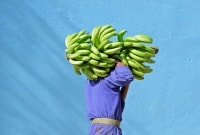 kuba bananai