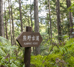 kumano kodo