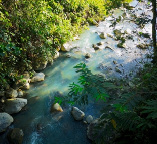 Poring Hotspring