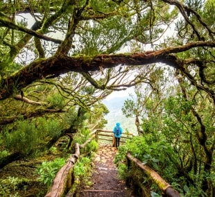 La Gomera, parkas