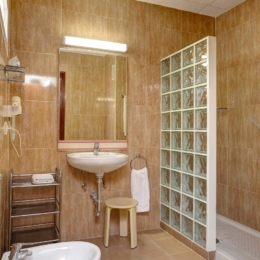apartamentu vonios kambarys