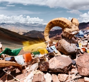 ladakas ragai