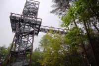 medžių lajų takas3