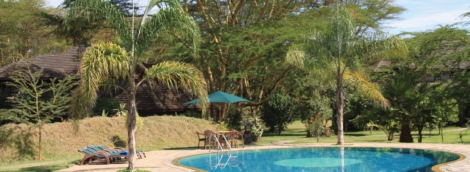 lake naivasha simba lodges 2