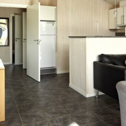 Classic Plus 4 svetainė