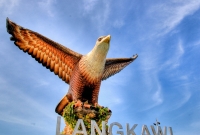 lan6