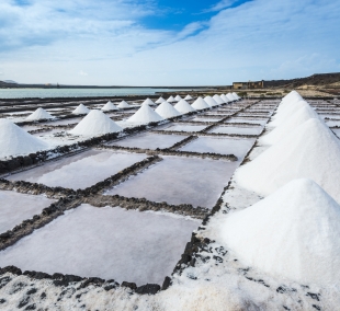 lansarote drusku kasykla 7466