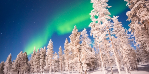 siaures pasvaiste aurora laplandija kelione